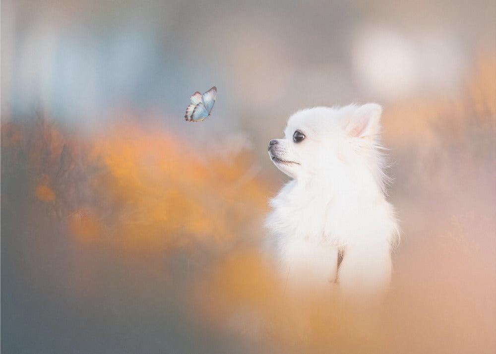 Tiny love