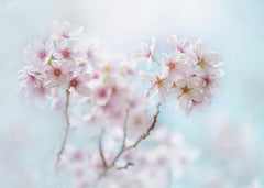 Blommor Yoshino – kvalitetsprodukt för ett vackrare och mer hållbart hem