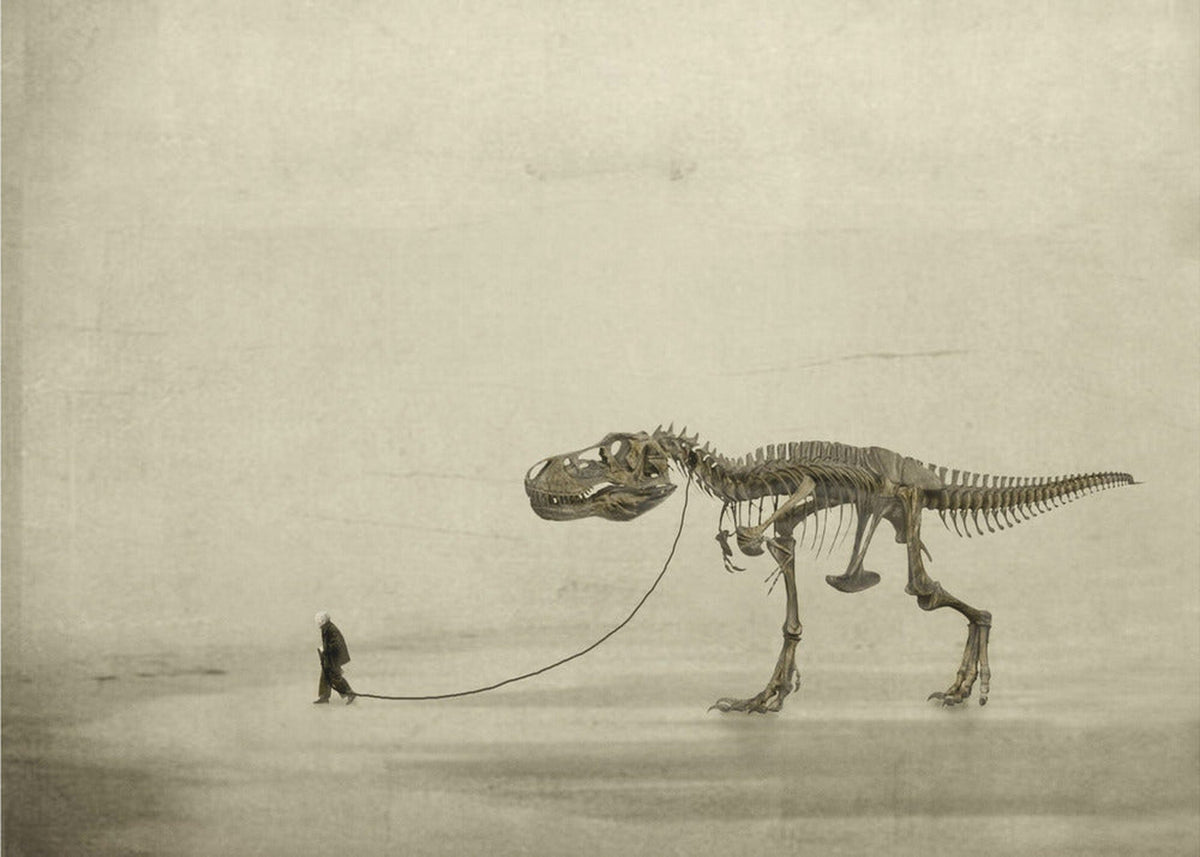 the walk