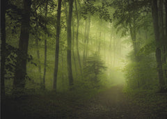 Skog spring secret – kvalitetsprodukt för ett vackrare och mer hållbart hem