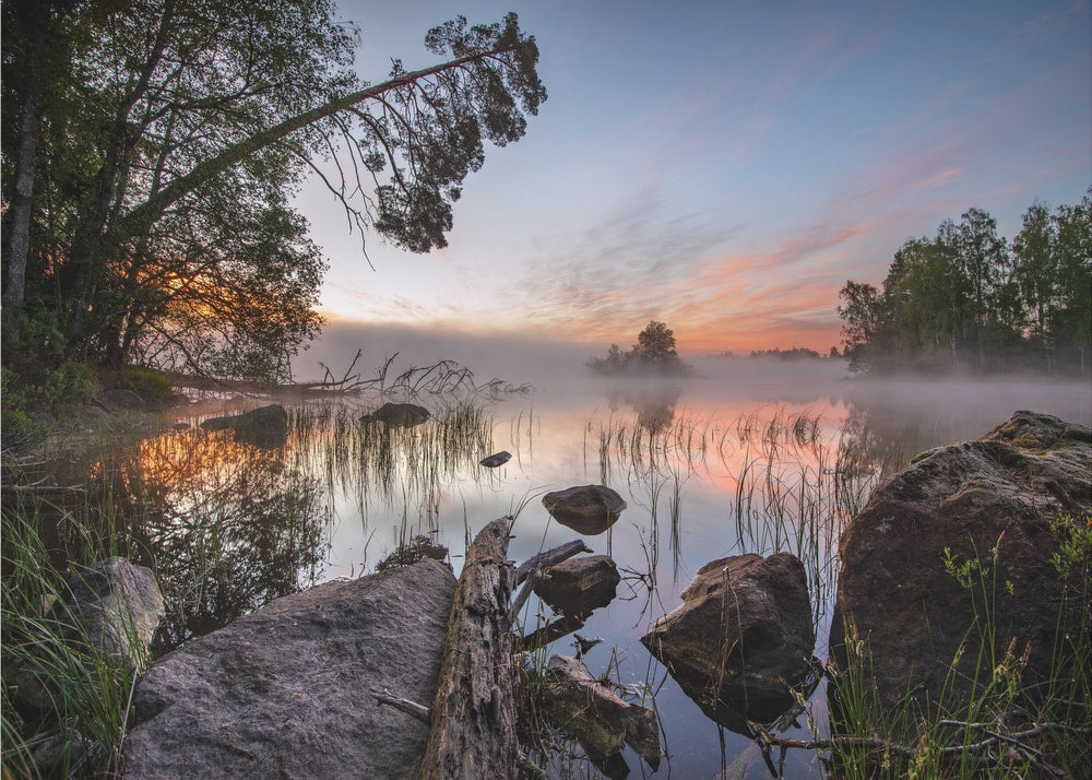 Misty Lake Sunrise