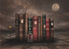 Book City Under Moonlight