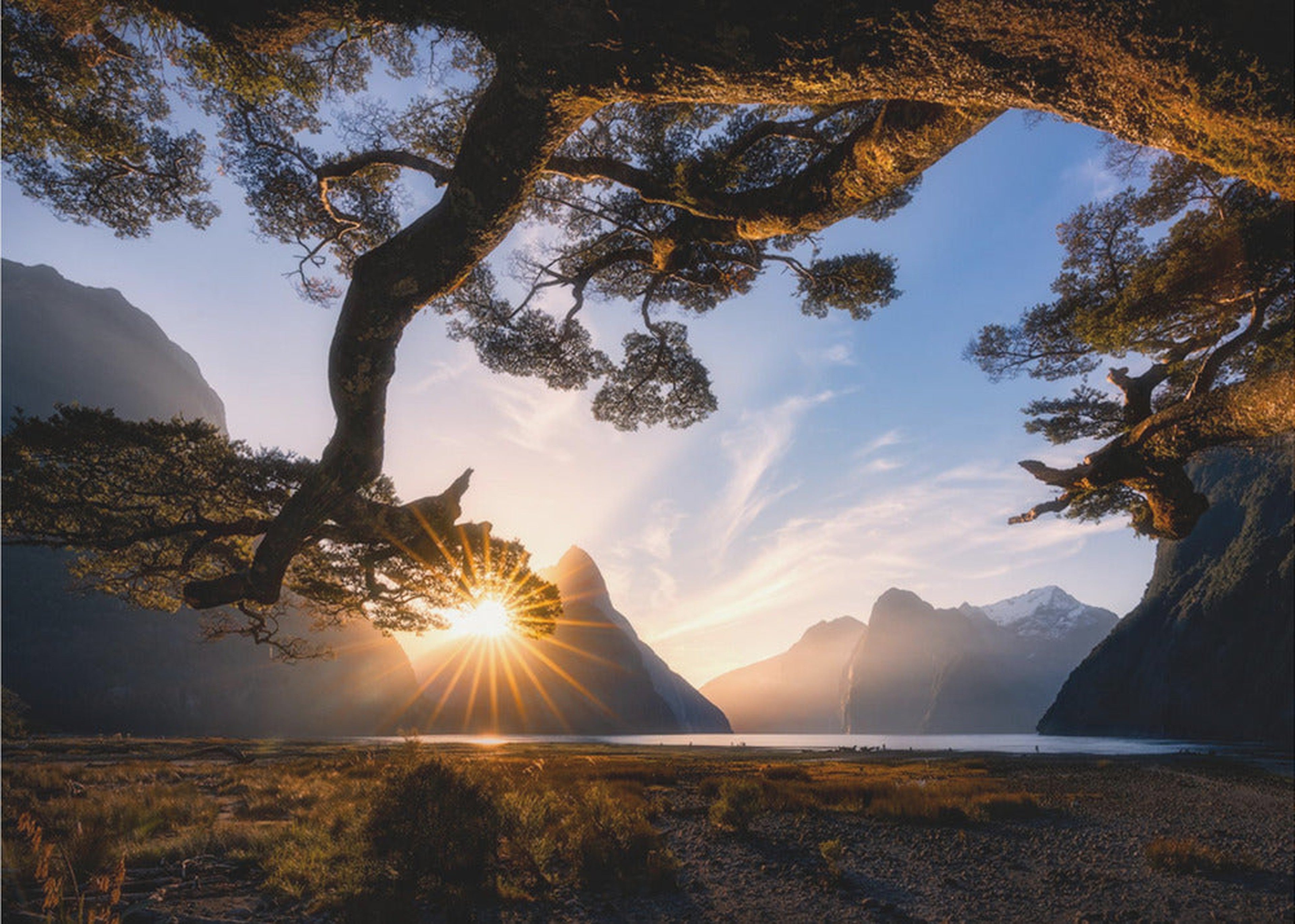 Sunny Day in Milford Sound