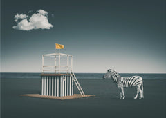 Fantasy Zebra style – kvalitetsprodukt för ett vackrare och mer hållbart hem