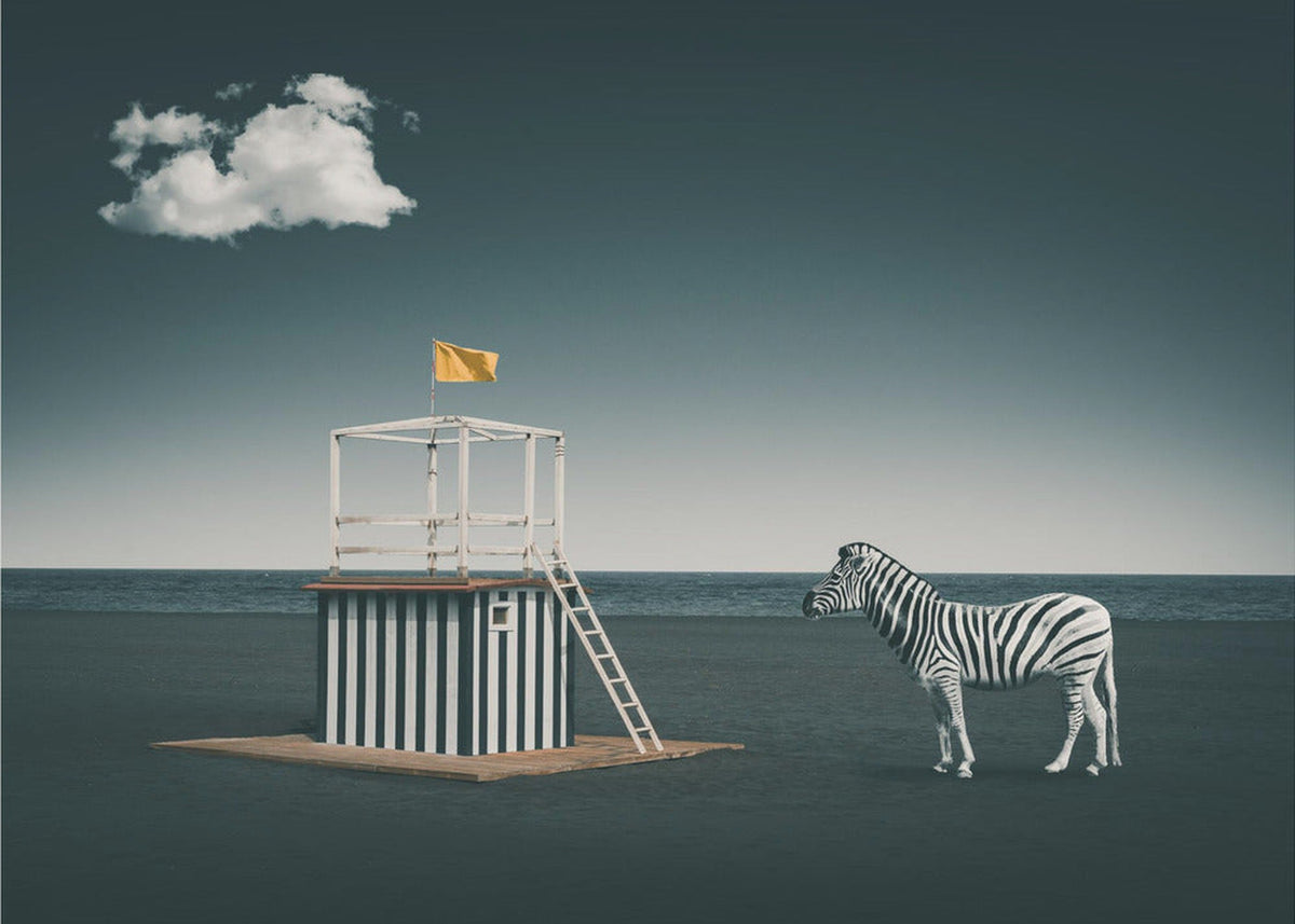 Zebra print