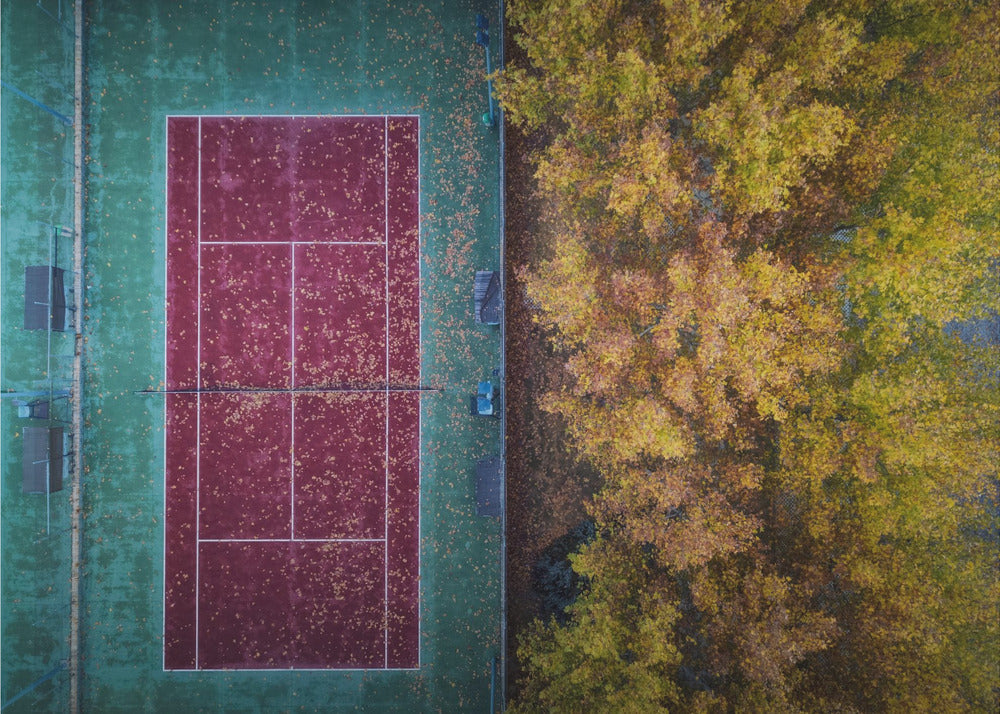 The Autumn Invasion