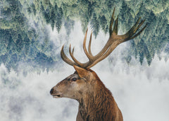 Djur The Deer and the woods – kvalitetsprodukt för ett vackrare och mer hållbart hem