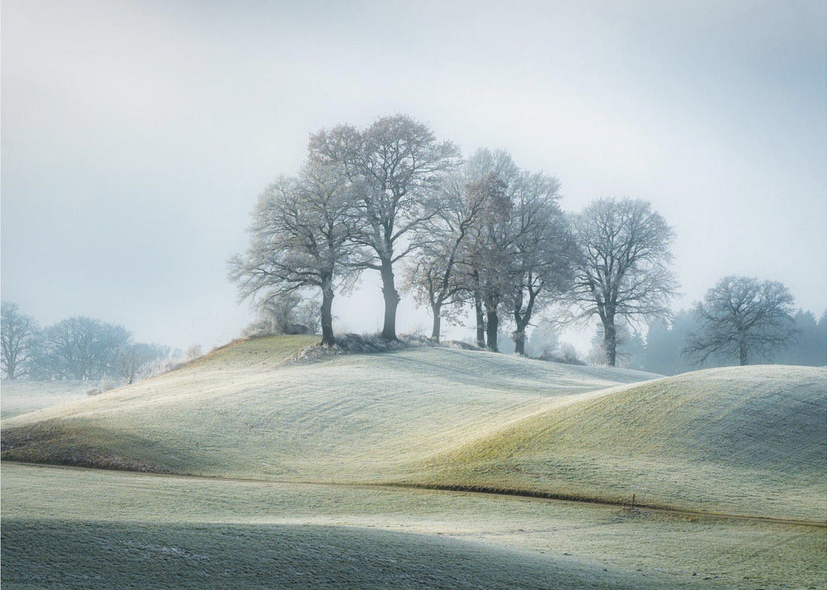 It is not in Tuscany