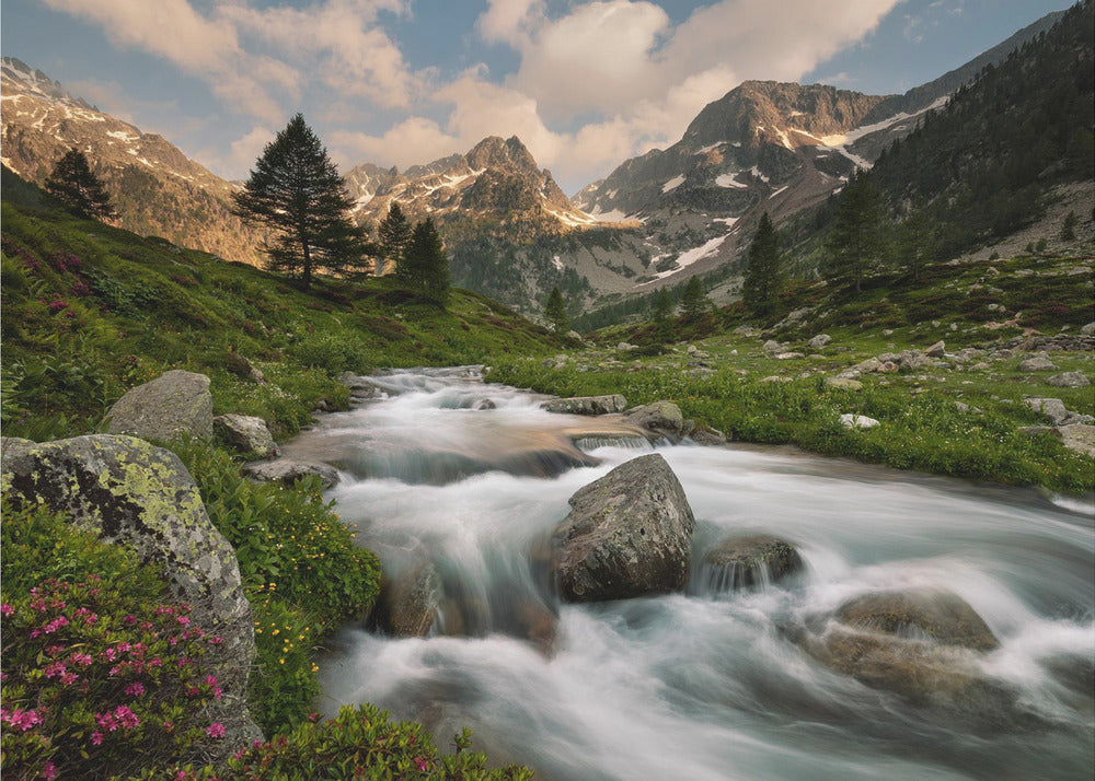 Parco delle Alpi Marittime