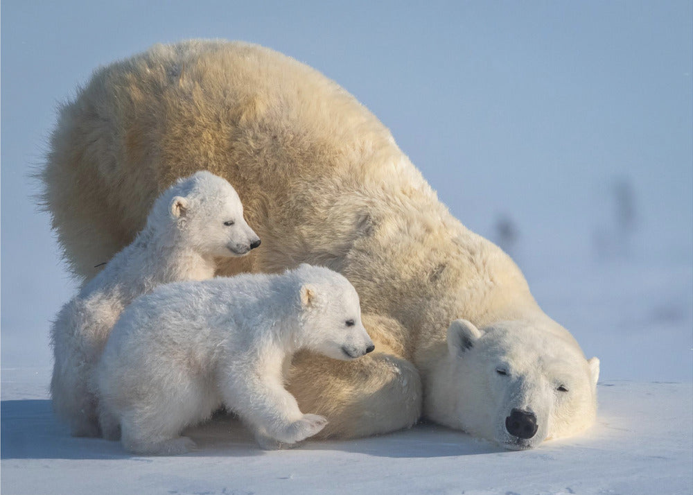 Mum, Play together