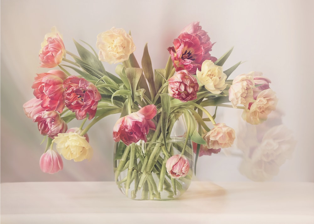 Soft Pastel Tulips