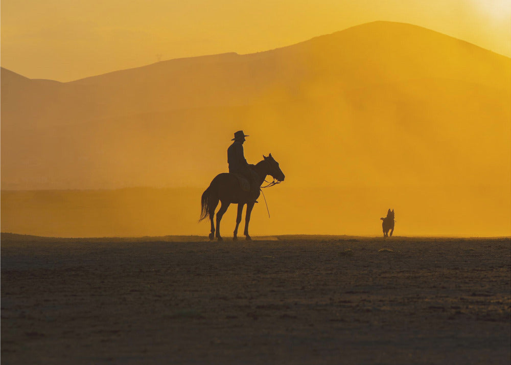 Man's Best Friends - Cowboy och hund fototapet