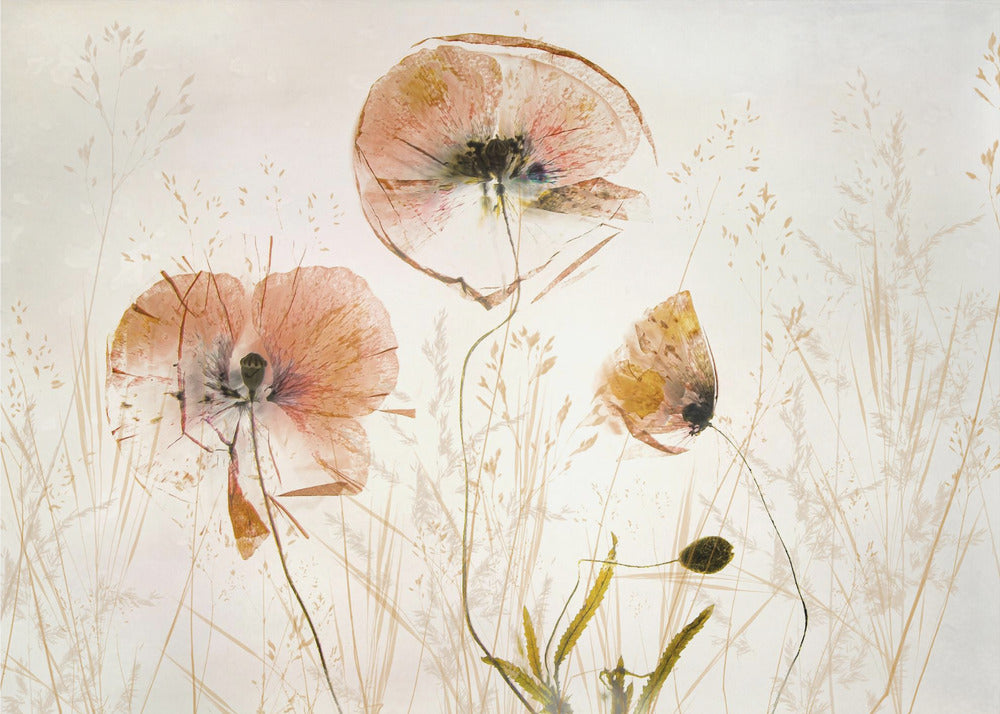 Light and soft