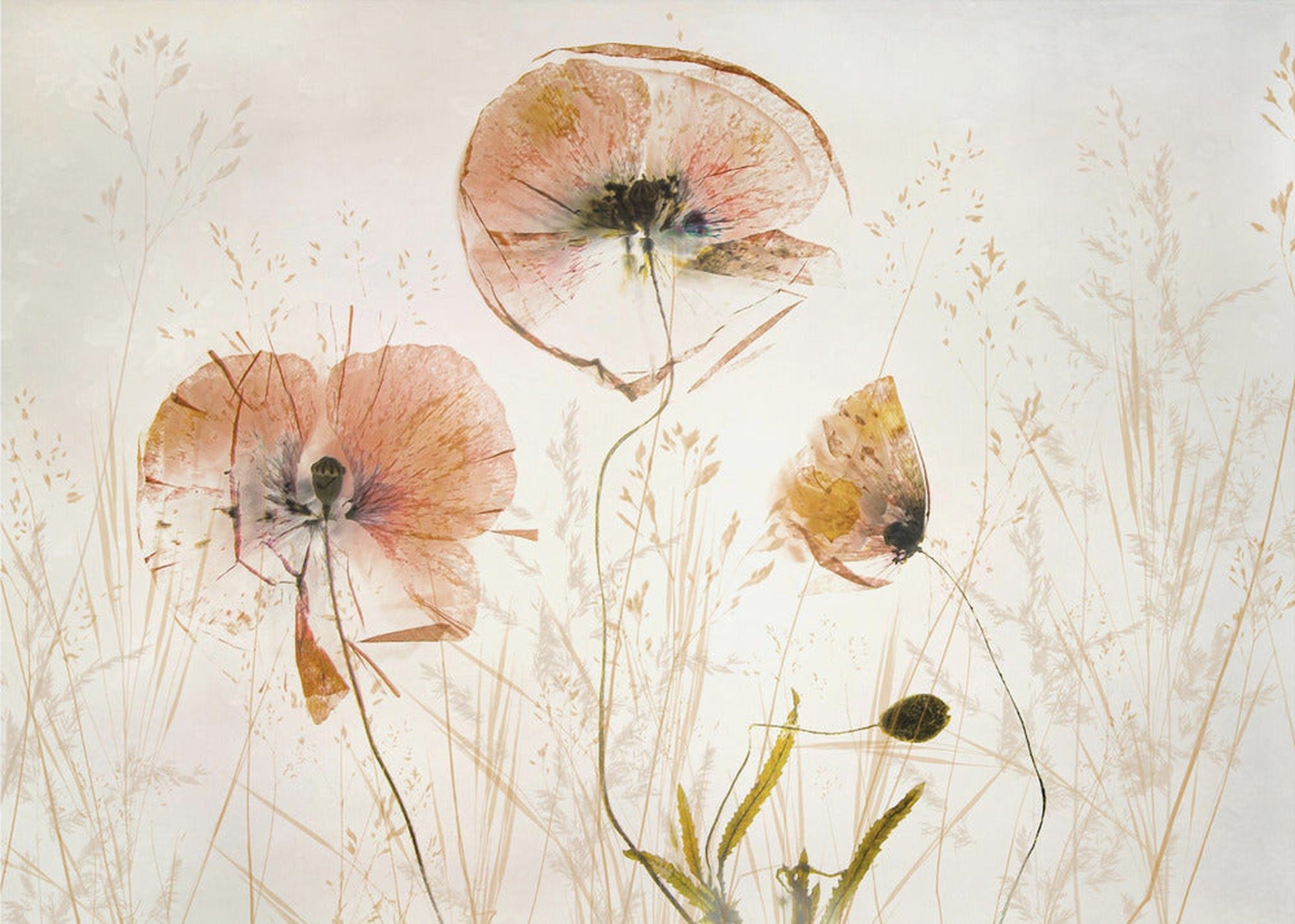Light and soft