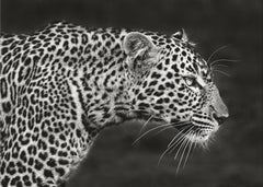 Djur Leopard Close Up – kvalitetsprodukt för ett vackrare och mer hållbart hem