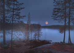 Skog Red Moon – kvalitetsprodukt för ett vackrare och mer hållbart hem
