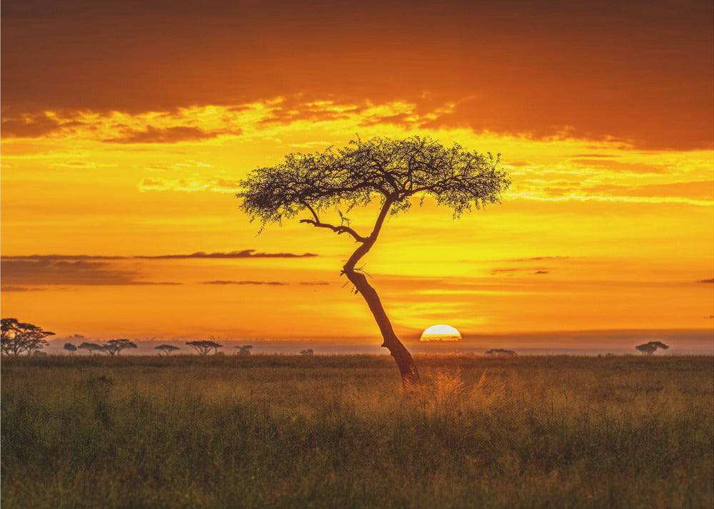 Urtidens Afrika