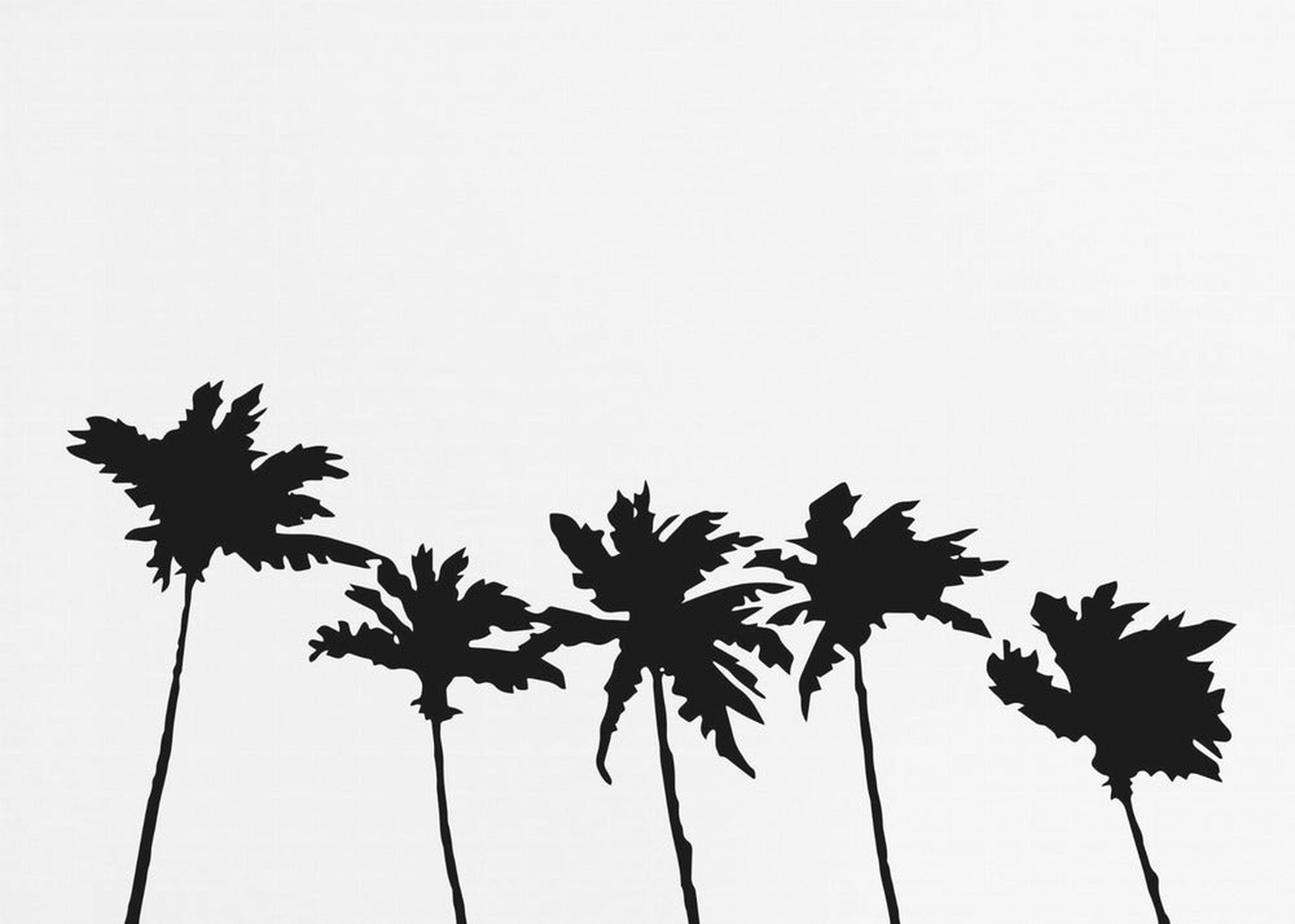 Palms White