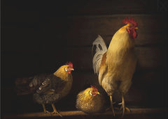 Djur Farm animals – kvalitetsprodukt för ett vackrare och mer hållbart hem