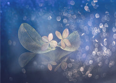 Ethereal Blue Leaves
