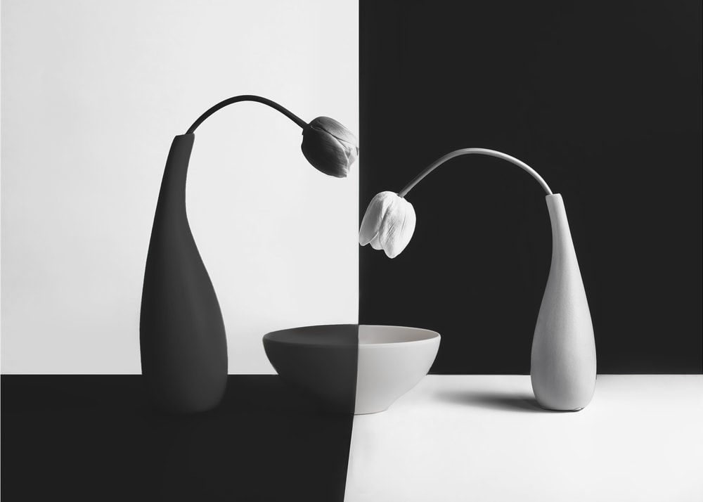 Black White Tulip Contrast