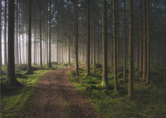 Skog The forest – kvalitetsprodukt för ett vackrare och mer hållbart hem