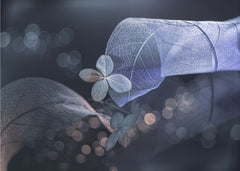 Ethereal Blue Leaves