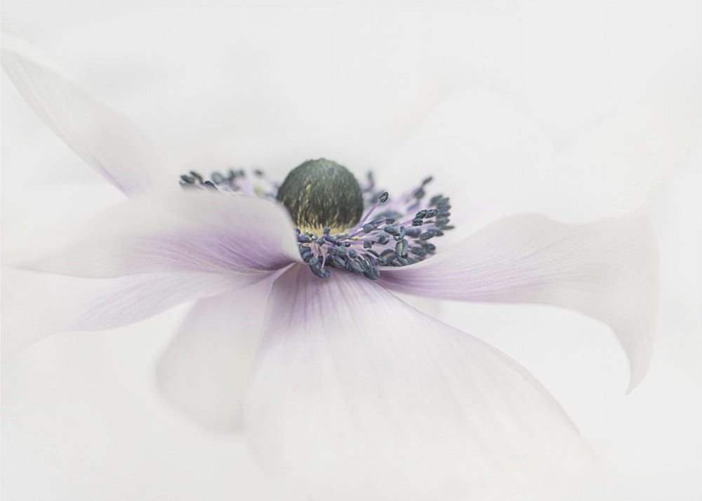 Simplicity