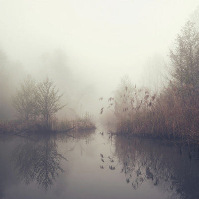 Silence rumsbild 3