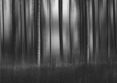 Skog spring 2021 – kvalitetsprodukt för ett vackrare och mer hållbart hem