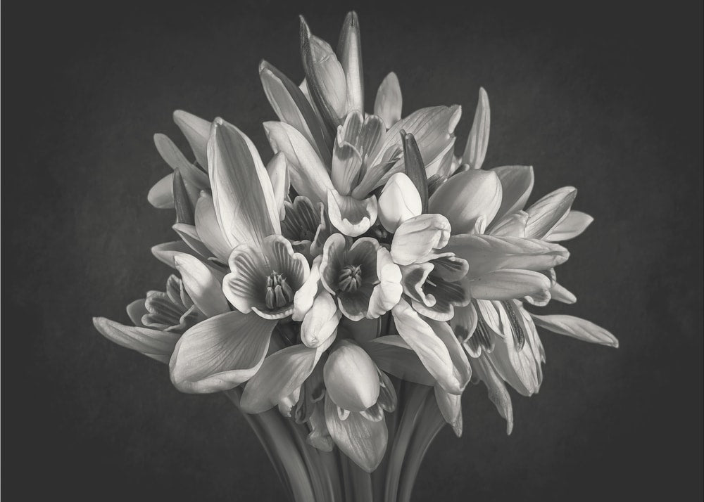 Monochrome Flower Bouquet