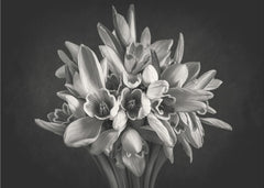 Monochrome Flower Bouquet