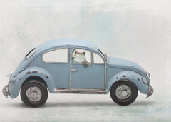 Bilar Amazon Milk Frog in VW Bug – kvalitetsprodukt för ett vackrare och mer hållbart hem