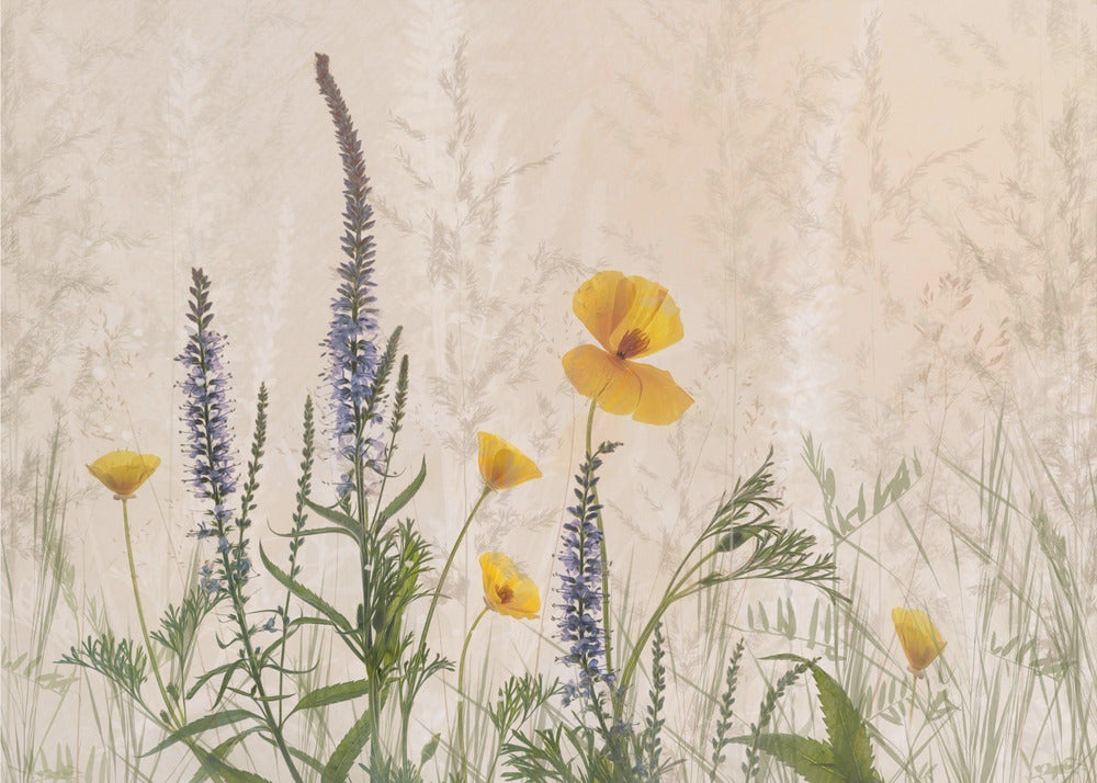 Drømmer om blomster