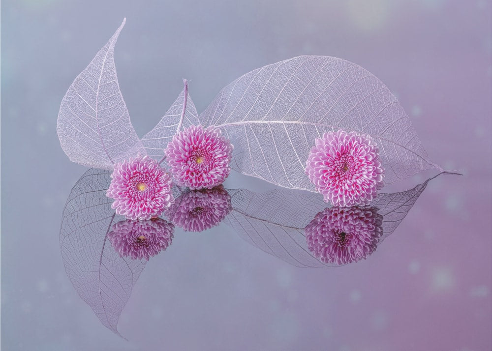 Delicate Floral Reflections