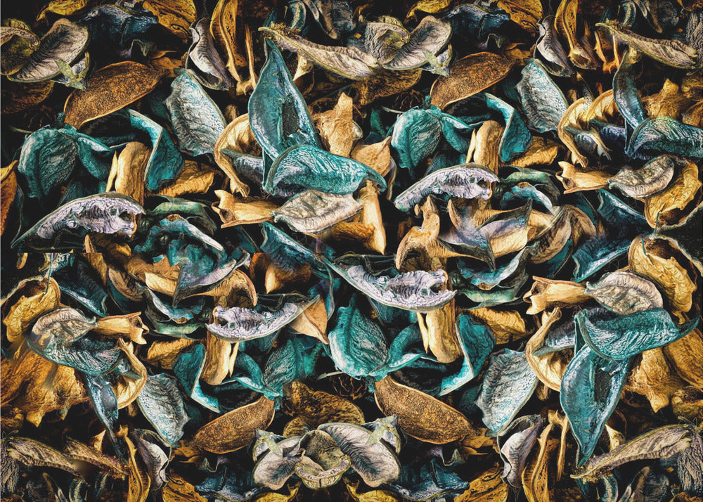 Autumn Leaves