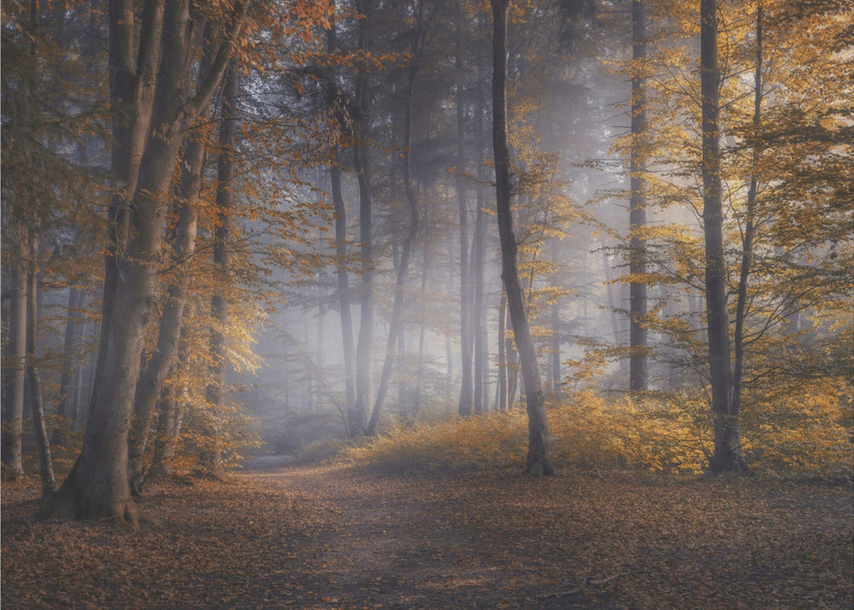 Oktobertage