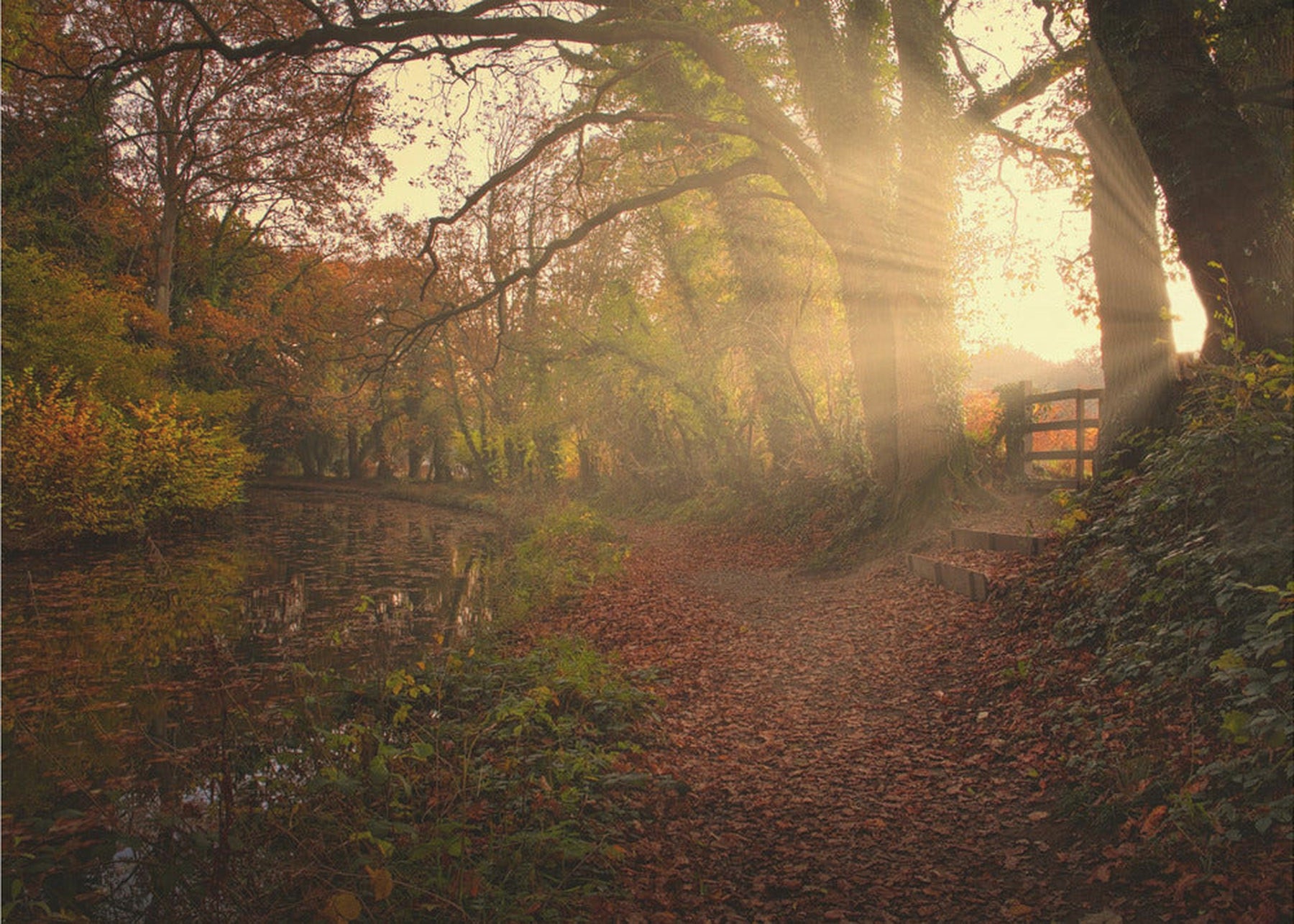 Sunset by the Canal