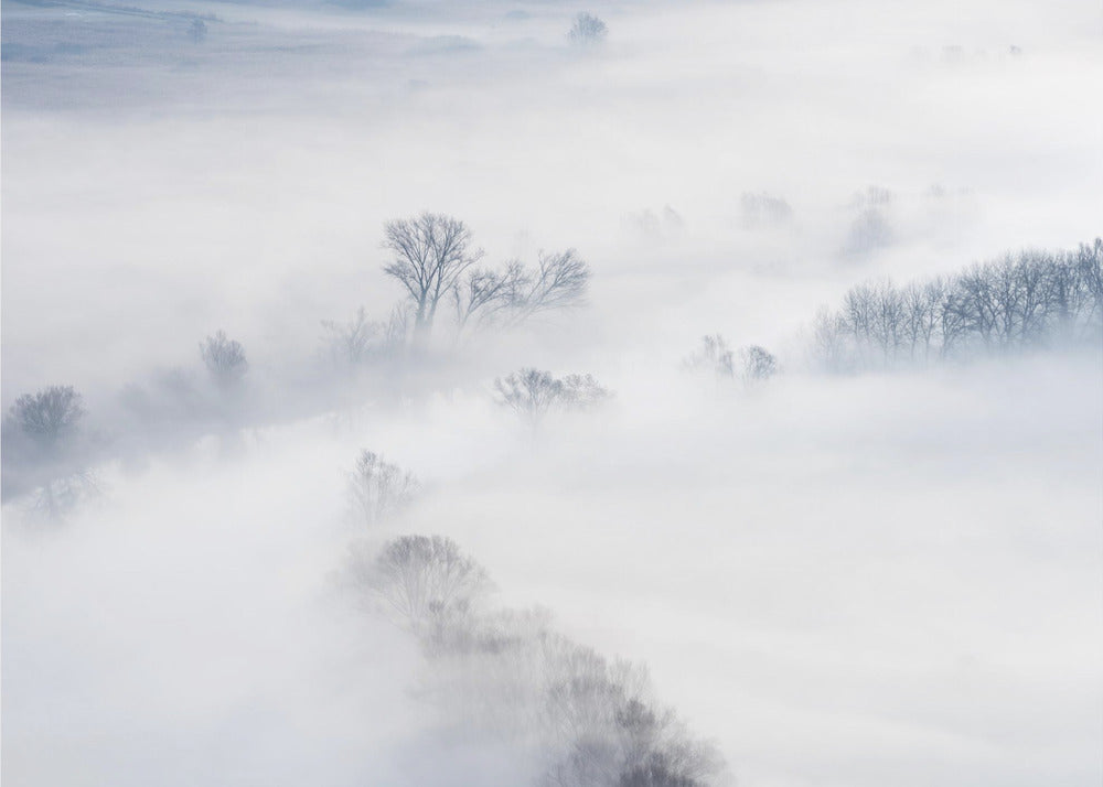 Vinter