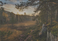 Skog Autumn Mood – kvalitetsprodukt för ett vackrare och mer hållbart hem