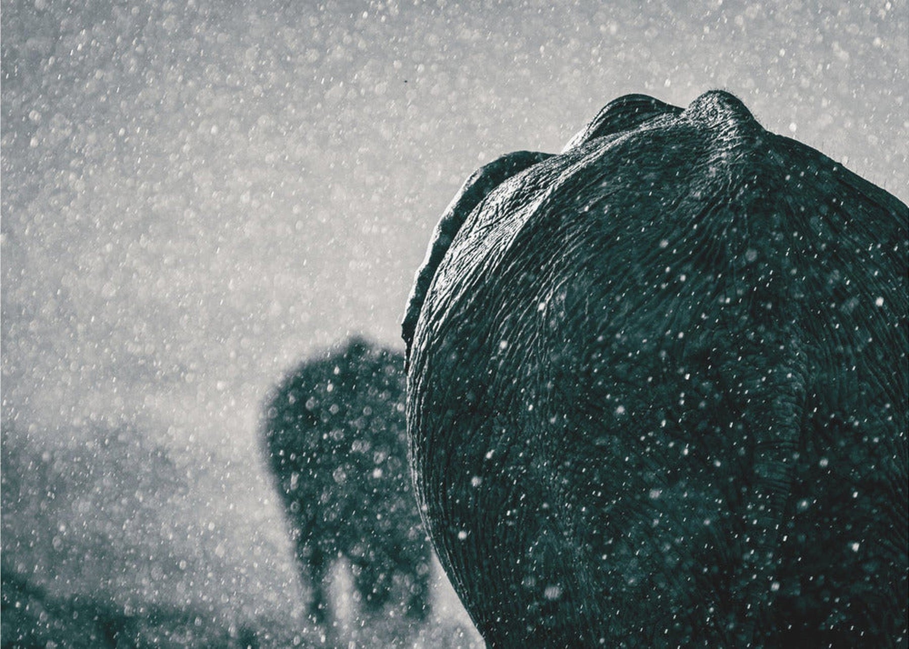 Rainy season