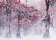 Skog Foggy &amp; Fall Foliage at Caddo Lake – kvalitetsprodukt för ett vackrare och mer hållbart hem