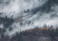 Landskap A path of the fog – kvalitetsprodukt för ett vackrare och mer hållbart hem