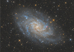 Luminous Spiral Galaxy