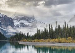 Skog Morning in the Rockies – kvalitetsprodukt för ett vackrare och mer hållbart hem