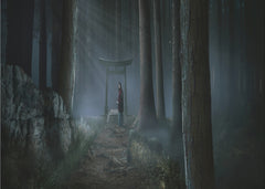 Misty Forest Shrine