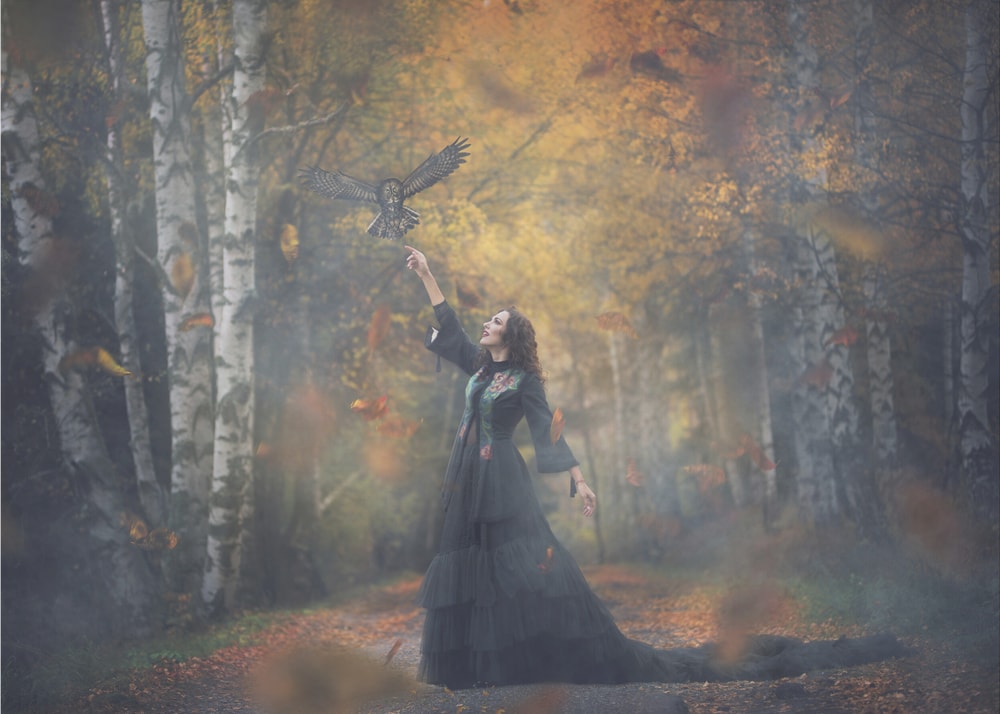 Magical Autumn Owl