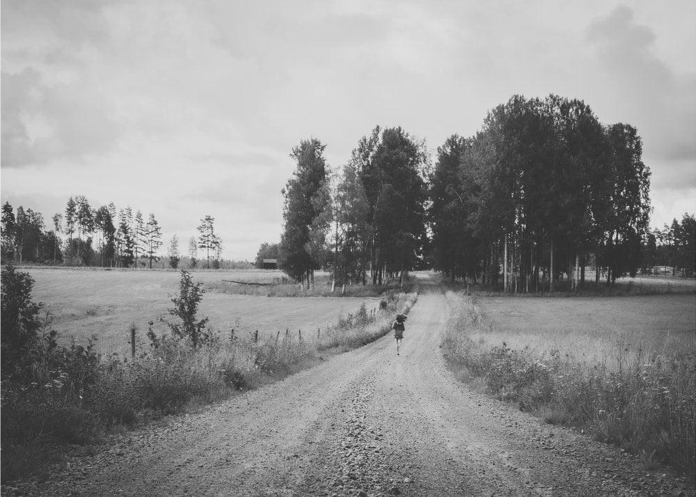 Serene Countryside Walk