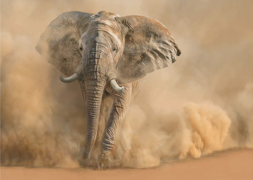 Desertstorm – Majestetisk fototapet med elefant i Namibias ørken