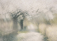 Landskap Cherry blossom – kvalitetsprodukt för ett vackrare och mer hållbart hem